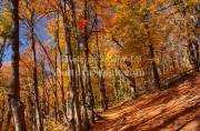 ID: 9034 (10107)