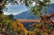 ID: 9035 (10107)