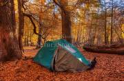 ID: 9041 (10107)