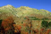 ID: 5297 (10107)