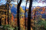 ID: 5299 (10107)