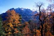 ID: 5301 (10107)