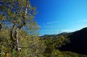 ID: 5302 (10107)