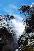 ID: 4257 (10109)