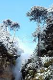 ID: 4261 (10109)