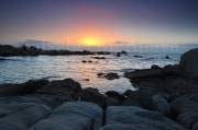 ID: 7869 (10105)