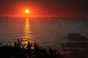 ID: 6641 (10105)