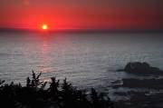 ID: 6642 (10105)