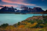 ID: 8772 (10112)