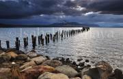 ID: 6292 (10112)