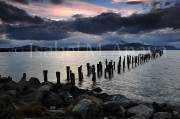 ID: 6305 (10112)