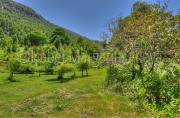 ID: 7614 (10109)