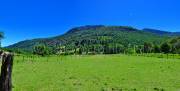 ID: 7878 (10109)