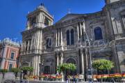 ID: 6919 (10901)