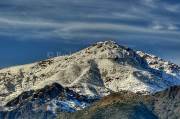 ID: 5031 (10113)