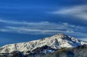 ID: 5032 (10113)