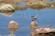 ID: 201 (30104)