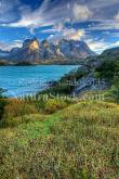 ID: 8991 (10112)