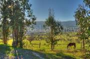 ID: 7886 (10105)