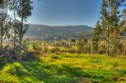 ID: 7889 (10105)
