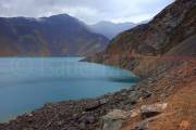ID: 7774 (10113)