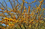 ID: 7472 (10105)