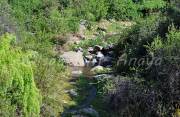 ID: 4440 (10113)