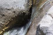 ID: 4445 (10113)
