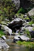 ID: 4446 (10113)
