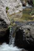 ID: 4449 (10113)