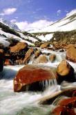 ID: 8245 (10113)