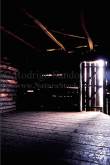 ID: 4835 (10112)