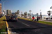 ID: 2728 (10101)