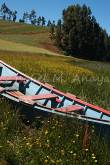 ID: 1011 (10109)