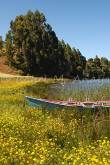 ID: 1012 (10109)