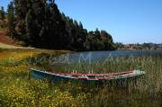 ID: 1013 (10109)