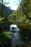 ID: 6707 (10109)