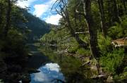 ID: 6708 (10109)