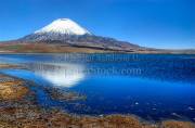 ID: 9072 (10115)
