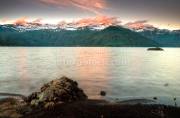 ID: 8313 (10109)