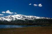 ID: 1029 (10109)