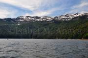 ID: 7771 (10109)
