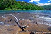 ID: 4279 (10109)