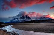 ID: 8993 (10112)