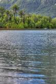ID: 6614 (10111)