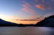 ID: 7411 (10114)
