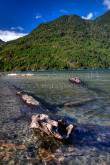 ID: 8203 (10110)