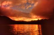 ID: 6740 (10110)