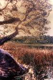 ID: 6741 (10110)