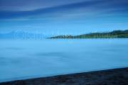ID: 7946 (10109)